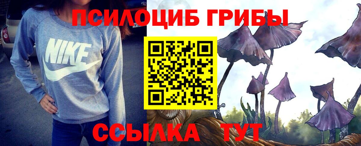Псилоцибиновые грибы прущие грибы Ивантеевка